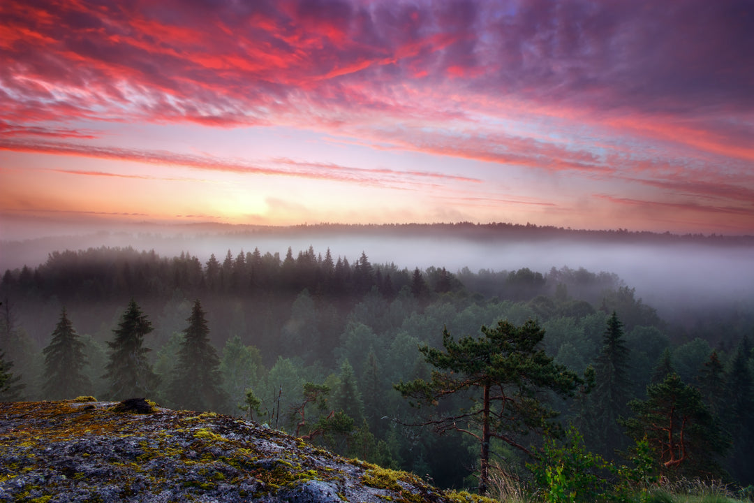 Tietovisa: Testaa, miten hyvin tunnet Suomen suurimmat kaupungit!