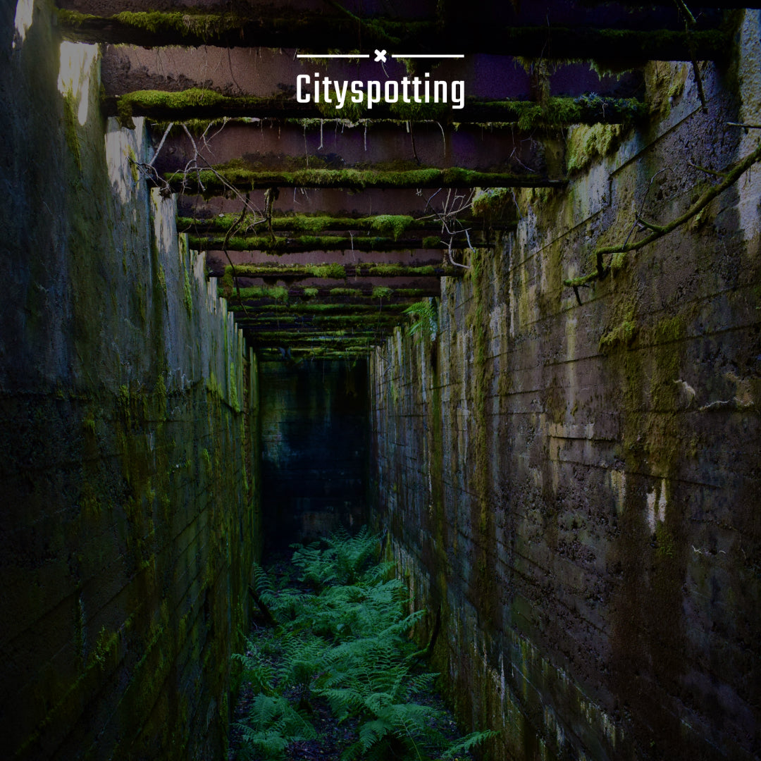 Cityspotting® LAHJAKORTIT